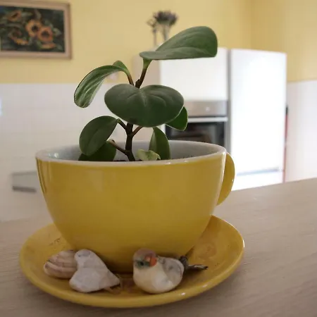 Apartman Mala Slovenka Omiš