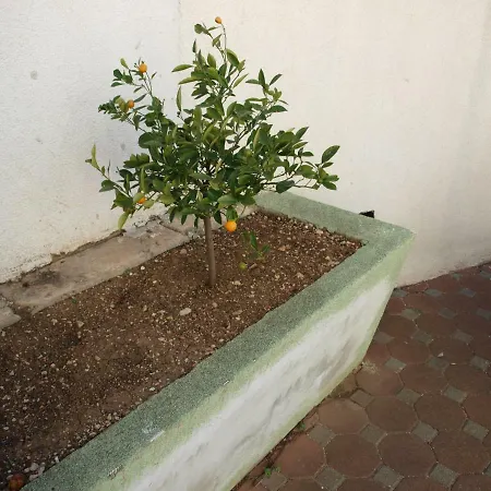 Apartman Mala Slovenka Appartement *